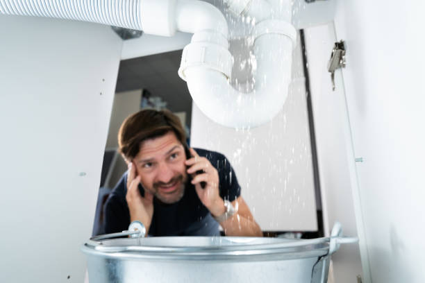 Best Emergency Plumbing Repair  in Shafer, MN