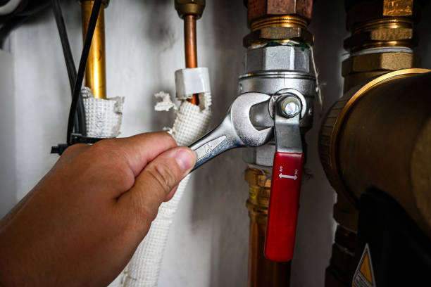 Best Local Plumber Services  in Shafer, MN